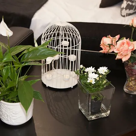 Dean Dos Catedrales Zaragoza