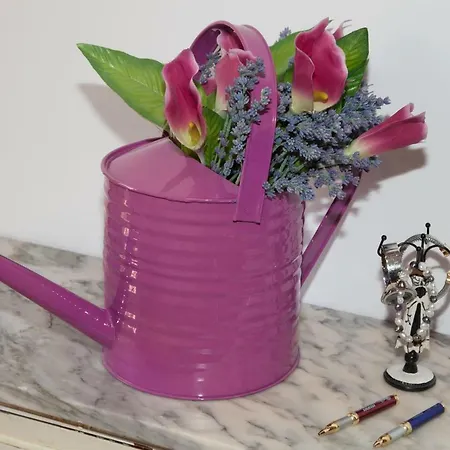 Dean Dos Catedrales * Zaragoza