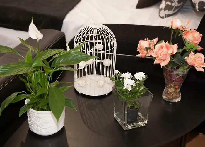 Dean Dos Catedrales Zaragoza